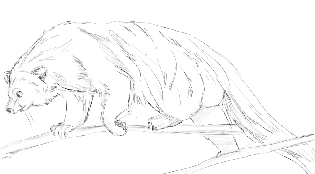 Part 3 - Chapter 1 - Bearcats on the run